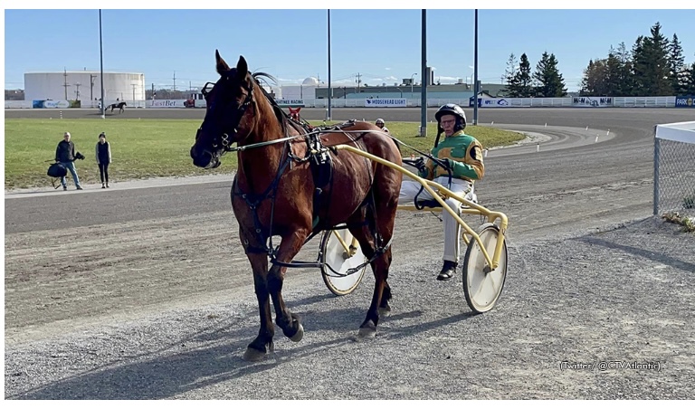 Jayson Baxter and Samspace of Saving Sammy to be part of "Remembering Sackville Downs" day at Truro