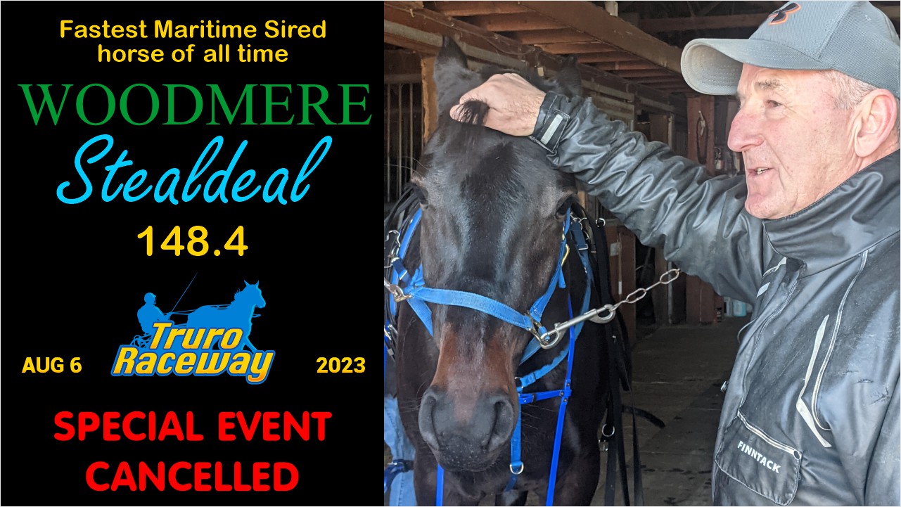A Statement from the connections of Woodmere Stealdeal