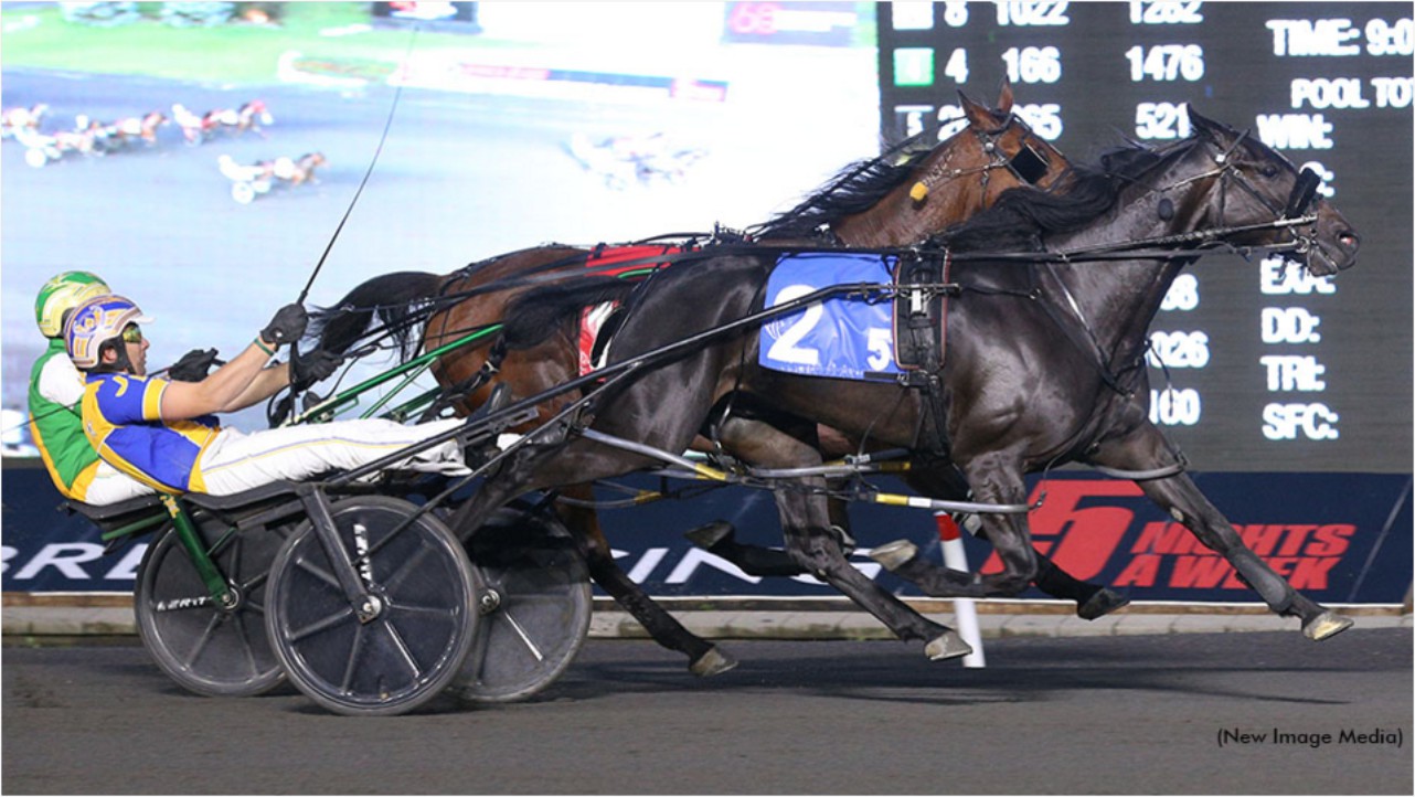 Truro Raceway will welcome local record holder Woodmere Stealdeal back to the track
